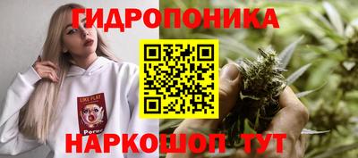 стафф Кинель