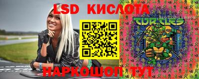 стафф Кинель